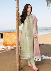 3 Piece Embroidered Lawn Shirt with Printed Organza Dupatta V10