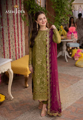 Dhanak 3PC Embroidered With Chiffon Embroidered Dupatta-243