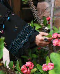 Dhanak-3PC Embroidered Shirt with Dhanak Embroidered Dupatta V113